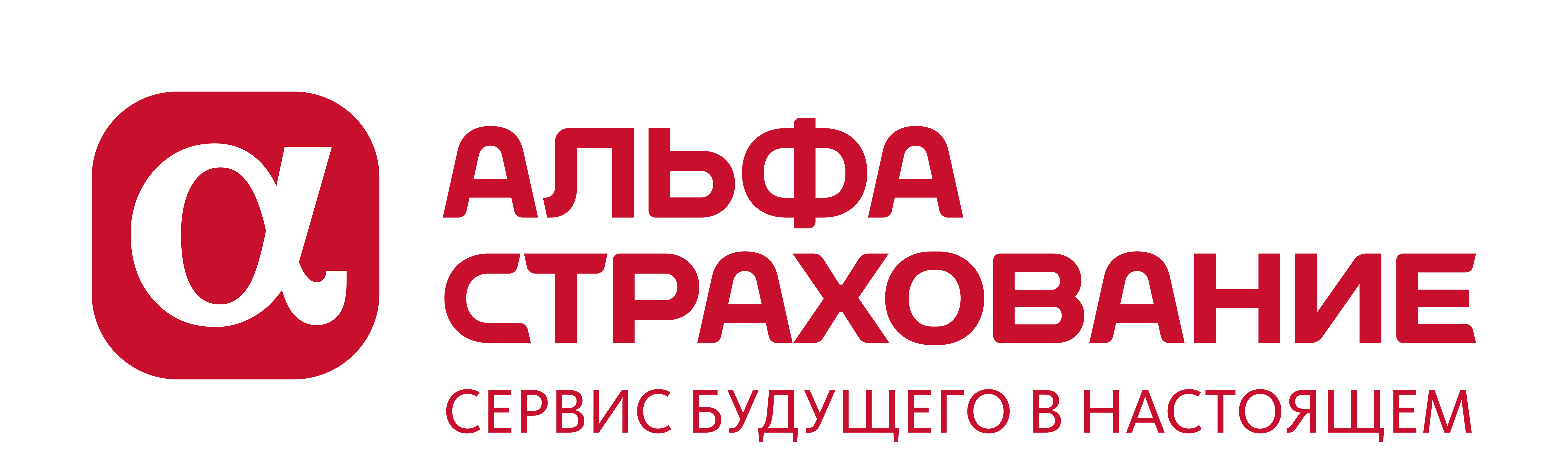 Наши партнеры